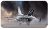 Best fighter
